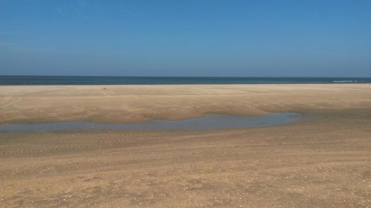 Vitamin Sea Heemskerk Luaran gambar