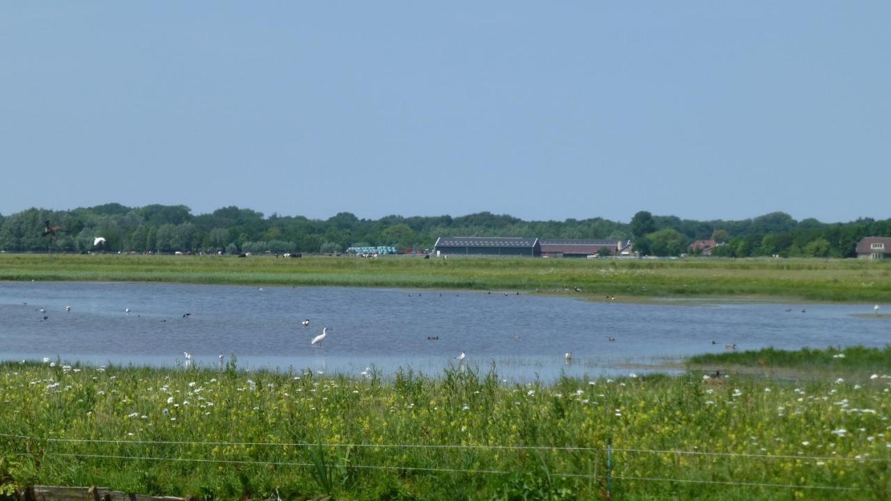 Vitamin Sea Heemskerk Luaran gambar